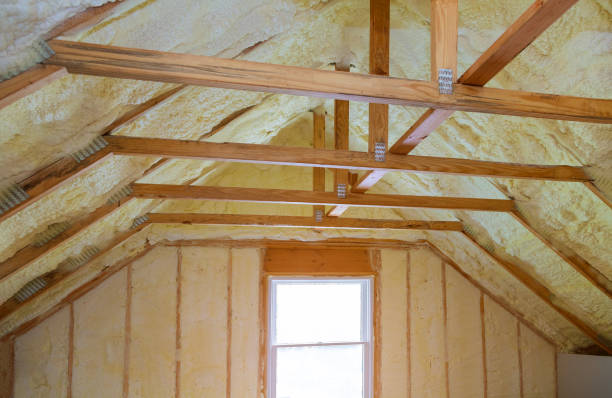 Best Insulation Maintenance and Repair in Druid Hills, GA